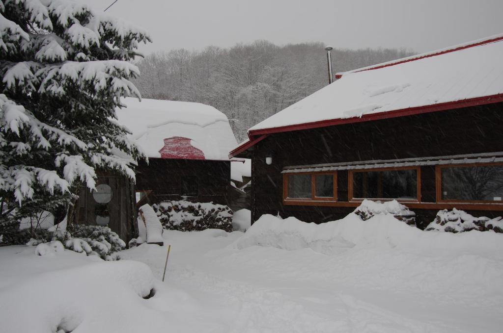 Goryo Guesthouse NakaNakafurano Dış mekan fotoğraf
